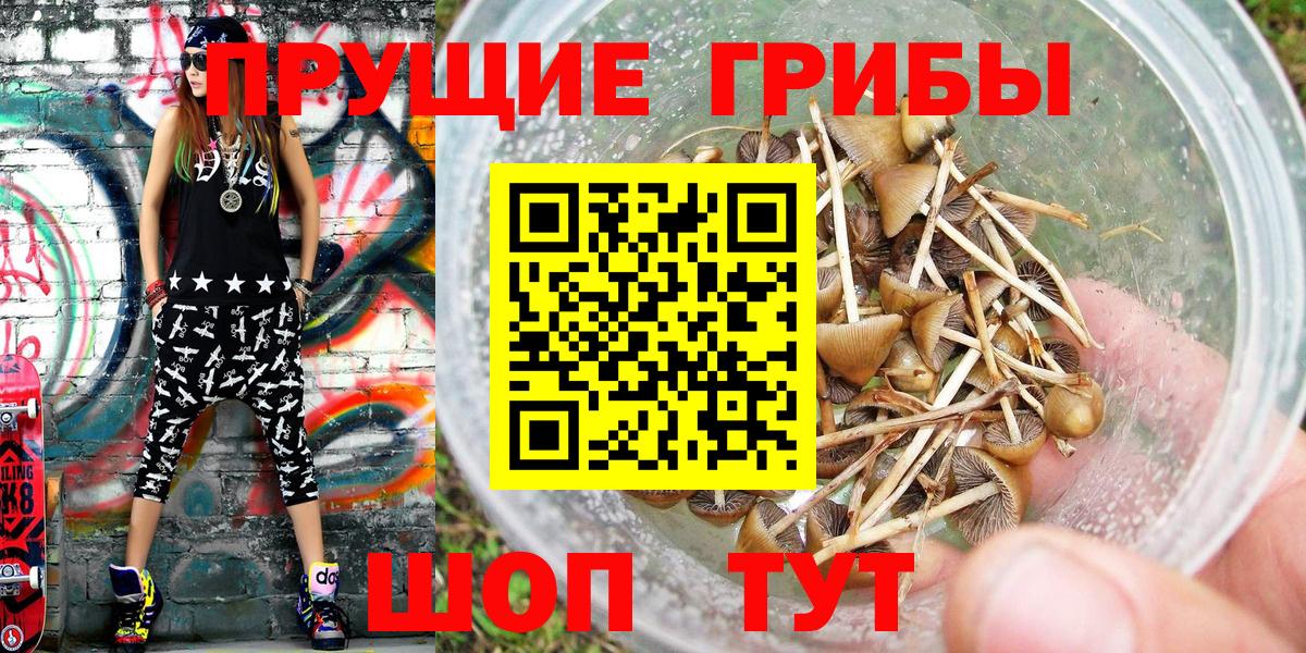 Псилоцибиновые грибы Psilocybe Костомукша
