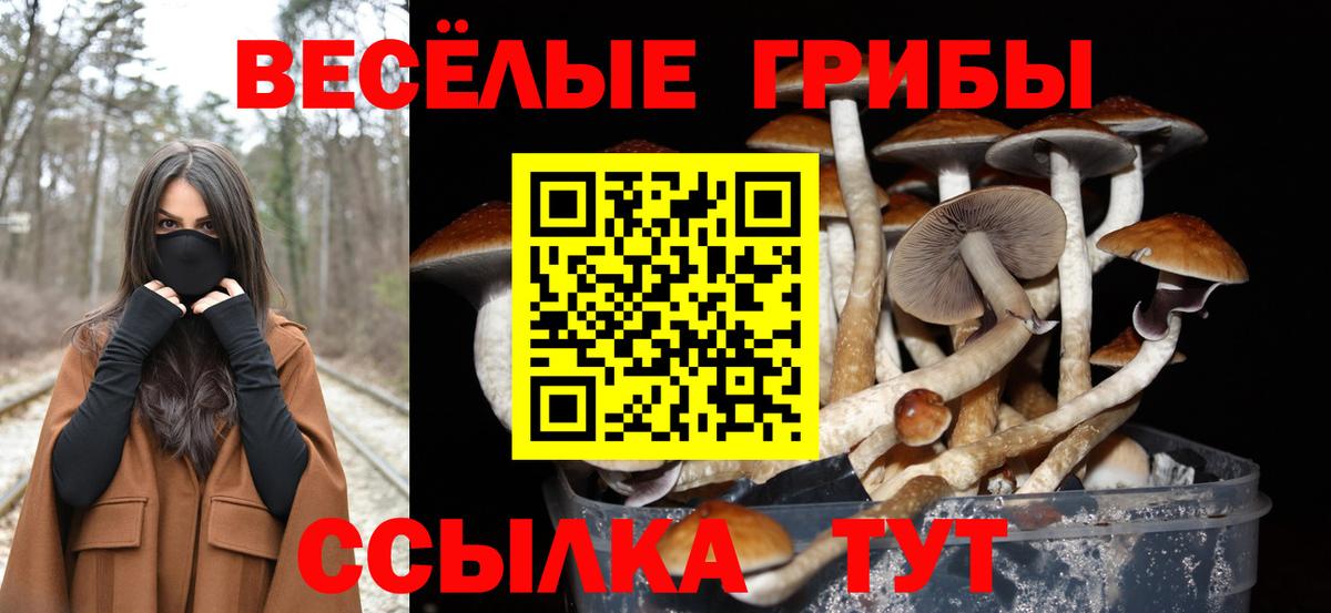 Псилоцибиновые грибы ЛСД  Вход с VPN  Костомукша 